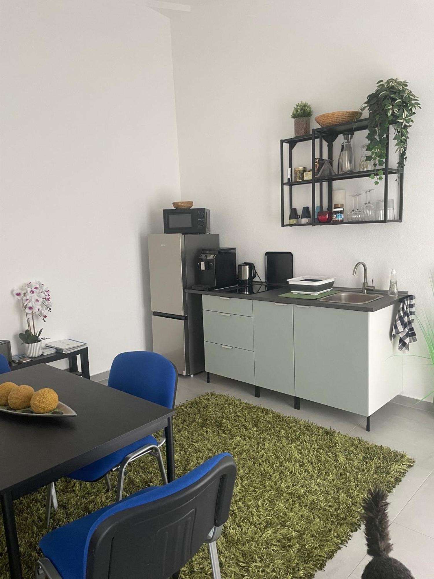 Apartamento Feine Auszeit Gottmadingen Exterior foto
